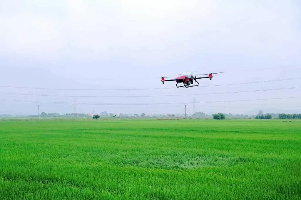 Thị xã Đông Triều đưa thiết bị bay drone vào phục vụ sản xuất nông nghiệp.