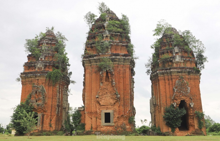 Tháp giữa cao 39 m, hai tháp bên cao 32 m và 33 m. Cả ba ngôi tháp Dương Long có hình dáng gần giống nhau như cùng nằm thẳng hàng theo trục Bắc - Nam, cửa chính quay về hướng đông. Ảnh: Trương Định.