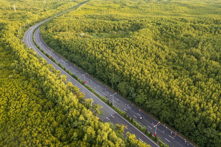 Đường Rừng Sác dài 36,5km và rộng 30m, quy mô 6 làn xe. Điểm đầu của tuyến đường giáp với Bến phà Bình Khánh, còn điểm cuối tuyến giao với đường 30/4 (huyện Long Hòa, Cần Giờ) hướng ra Biển Đông.