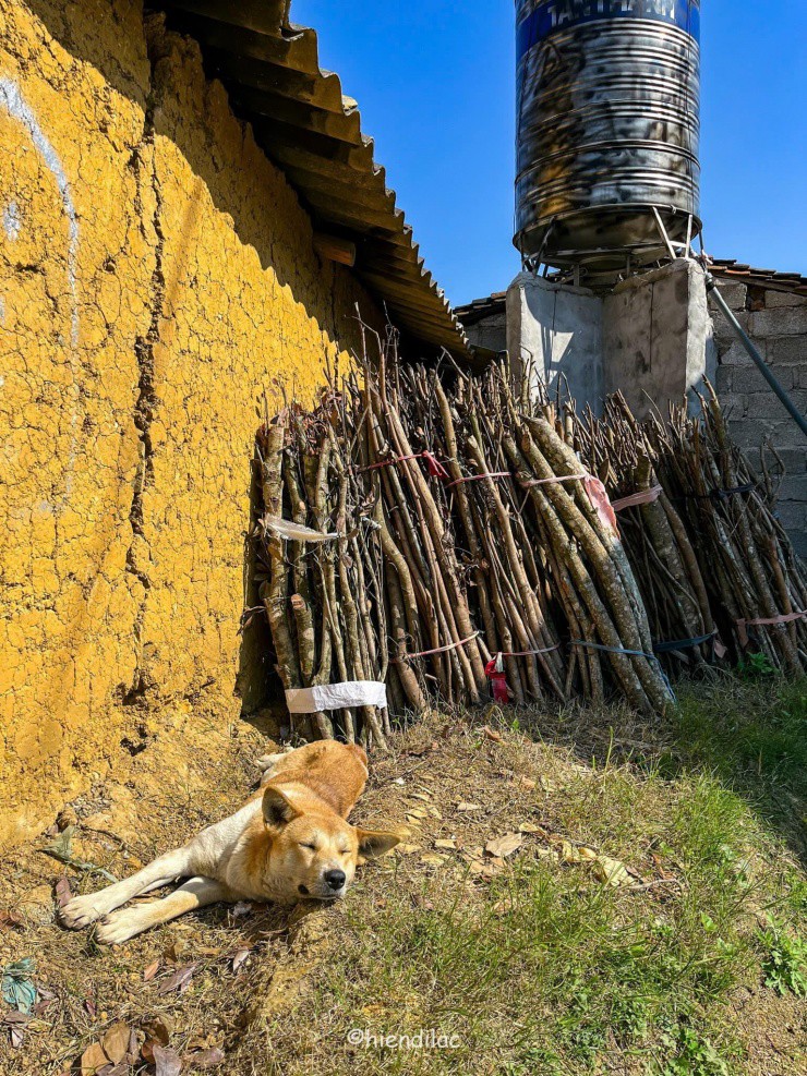 Khoảnh khắc bình yên.