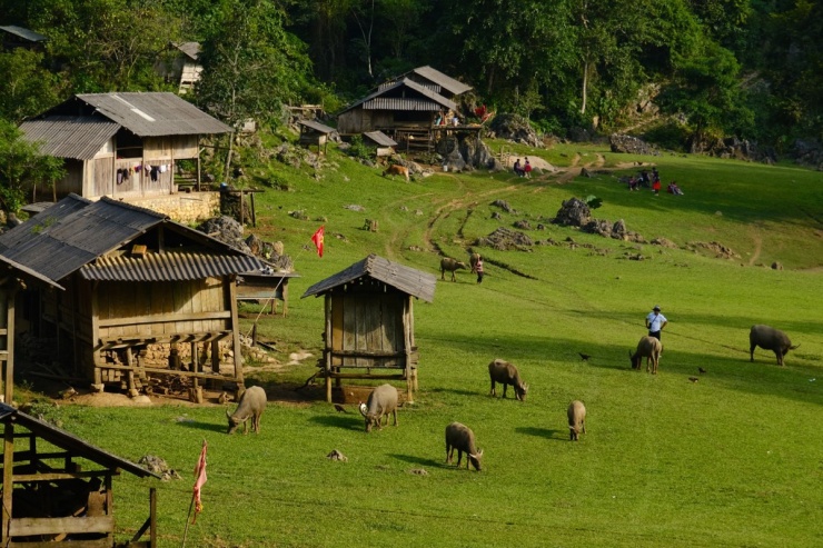 5 điểm check in Mộc Châu mùa đông - 8