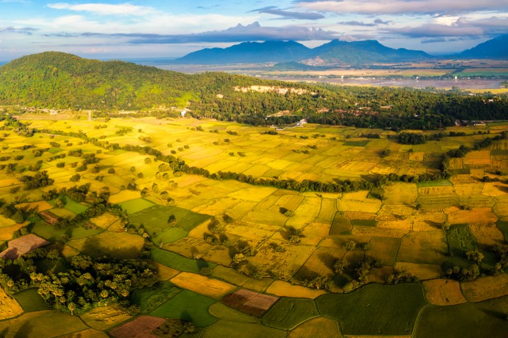 Mùa vàng ở An Giang - 7