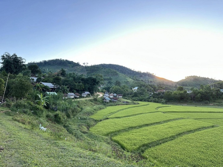 Chàng trai cùng hai người bạn nhỏ lông mềm đi phượt Bắc Nam - 7