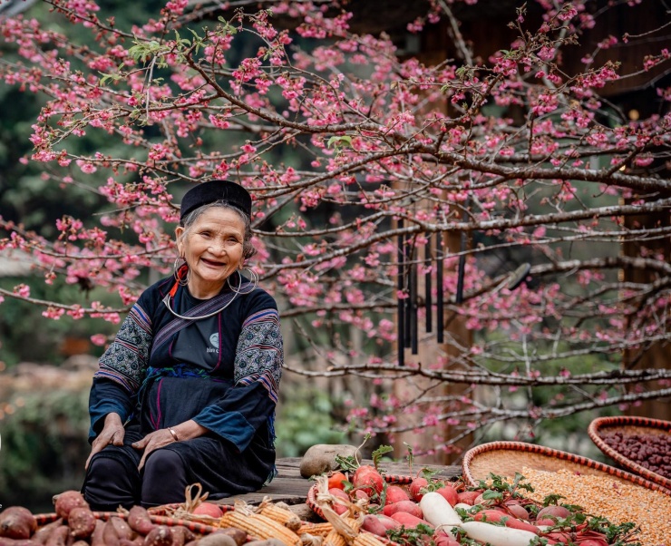 Đó là nụ cười hiền hoà của cụ bà trong khung cảnh thanh bình của nơi đây. Cát Cát nằm cách trung tâm thị trấn Sa Pa chỉ 3km, được hình thành từ thế kỷ 19. Trải qua hơn một thế kỷ, nơi đây thu hút du khách bởi nhịp sống bình yên, khung cảnh thơ mộng và sự hiền hoà của người dân – là một điểm du lịch cộng đồng đầy hấp dẫn.