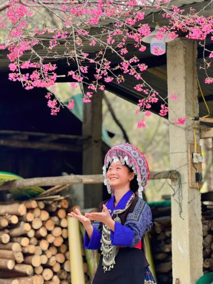 Mùa hoa tớ dày ở Mù Cang Chải sẽ kéo dài đến hết tháng 1, vì vậy bạn có thể sắp xếp thời gian để đến đây trong khoảng thời gian này.