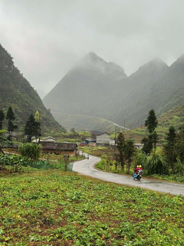 Vi vu trên những cung đường.