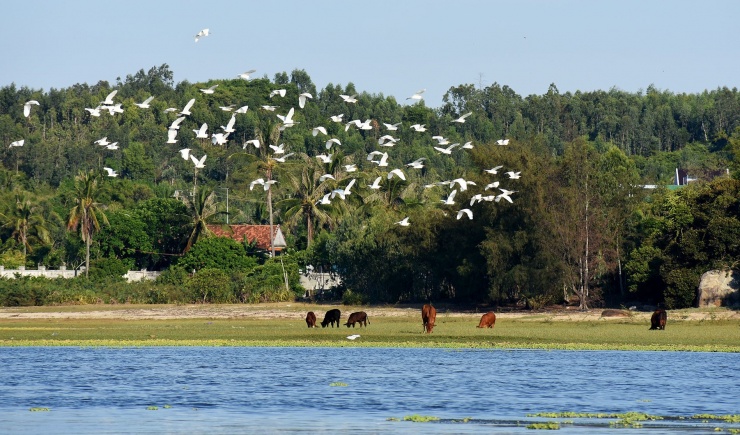 Nét đẹp thanh bình của ngôi làng.