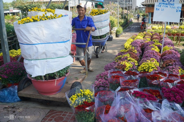 Nhà vườn tranh thủ mang hoa ra bày bán tại các tuyến đường có đông du khách tham quan.