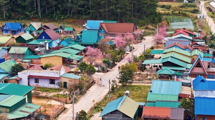 Hoa đào rực rỡ quanh ngôi làng nhỏ trên cao nguyên - 6