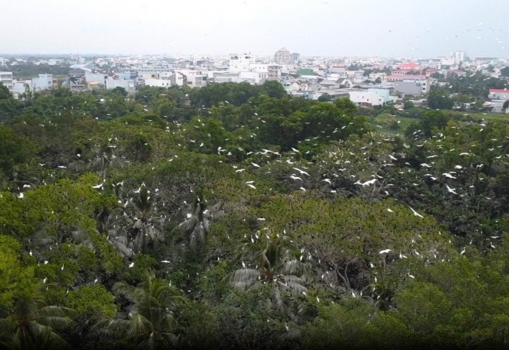 'Đột nhập' vườn chim có vị trí đặc biệt nhất Việt Nam - 1