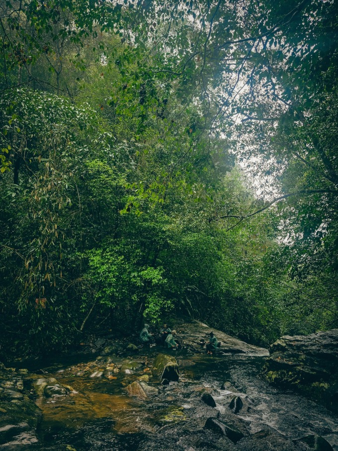 Trần Đặng Đăng Khoa hiking xuyên rừng Bạch Mã sương mù - 2