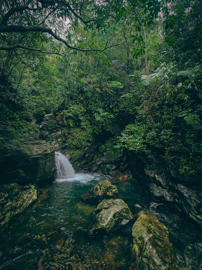 Trần Đặng Đăng Khoa hiking xuyên rừng Bạch Mã sương mù - 5