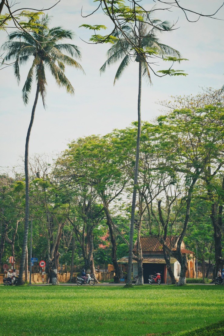 Huế tràn ngập cây xanh tỏa bóng mát.