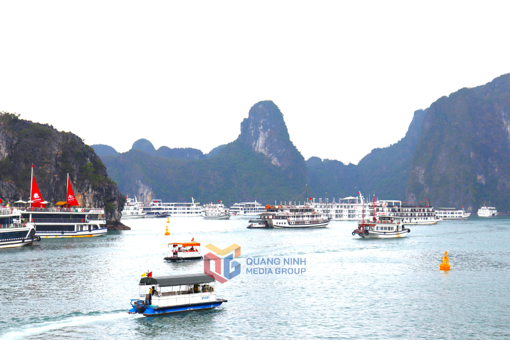 2347410_wtm_619819c763beacb919e6cf0b0072da2a Các tàu du lịch tấp nập đưa đón khách tham quan Vịnh Hạ Long.