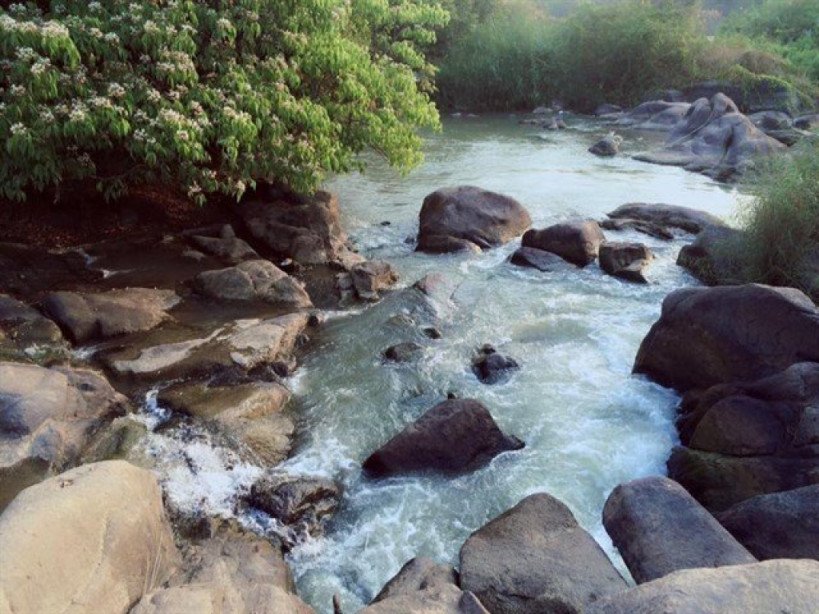 Sáp nhập Đồng Nai và Bình Phước, lộ diện “lá phổi xanh” khổng lồ của cả nước - 2